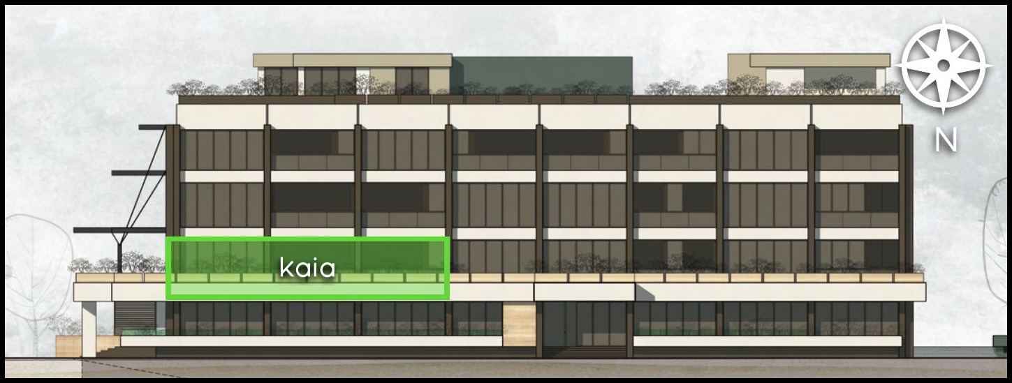 kaia highlighted on the elevation design study