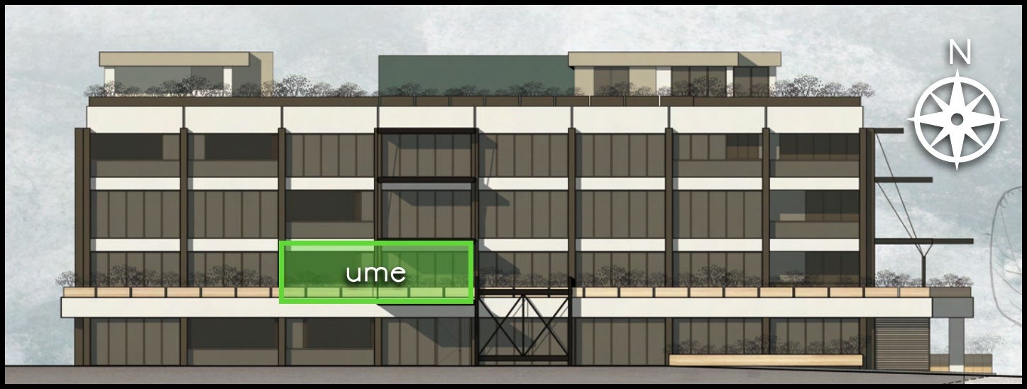 ume highlighted on the elevation design study